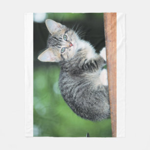 Kitten Fleecefilt
