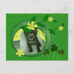Kitten, Flowers, Shamrocks & Grönt Polka dots Vykort