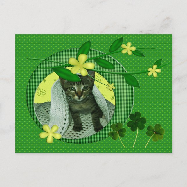 Kitten, Flowers, Shamrocks & Grönt Polka dots Vykort (Framsida)