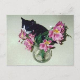 Kitten Flowers Vas vykort