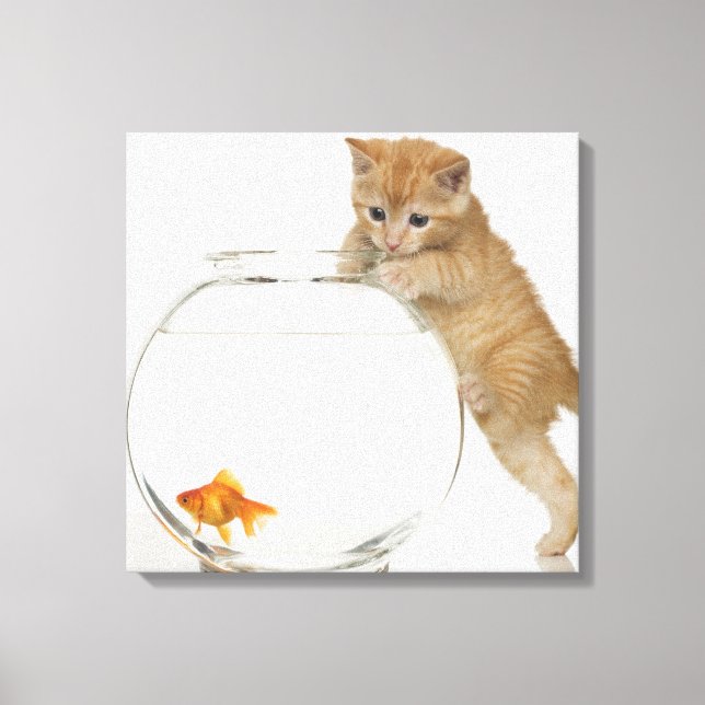 Kitten försökte ta sig till en guldfisk canvastryck (Framsida)