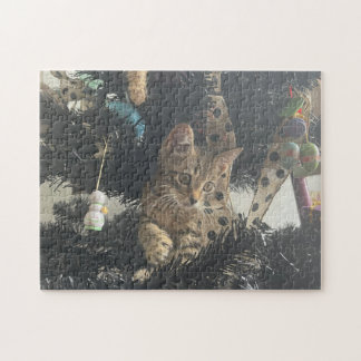 Kitten Foto Animal Pet Cat Pussel