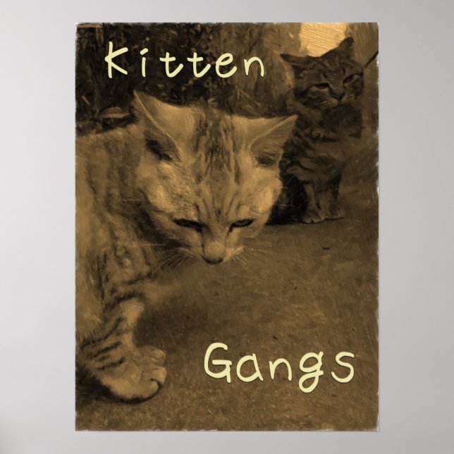 Kitten Gangs Poster (Framsidan)