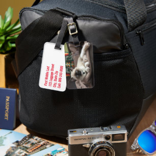 Kitten Glamor Photograph Bagagebricka