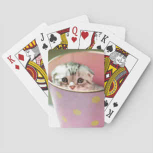 Kitten Gömmer Casinokort