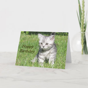 Kitten Grattis på födelsedagen hälsningskort Kort