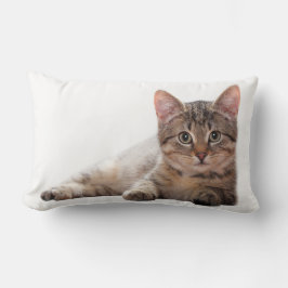 Kitten Gray White Cat Cute Animal Lumbarkudde