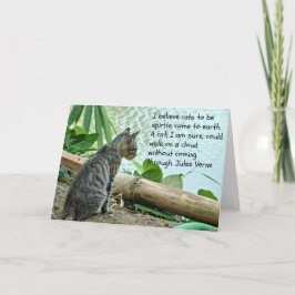 Kitten Hälsning Card med offert Kort