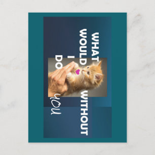 Kitten höll en handtext som jag skulle göra utan vykort