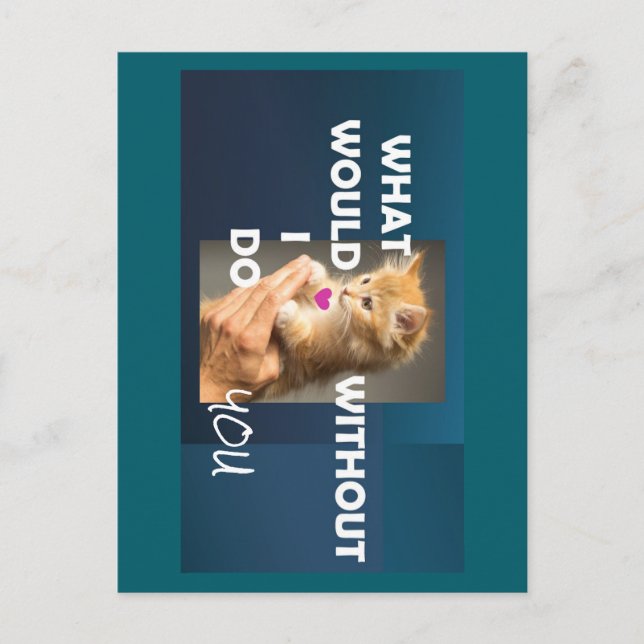 Kitten höll en handtext som jag skulle göra utan vykort (Framsida)