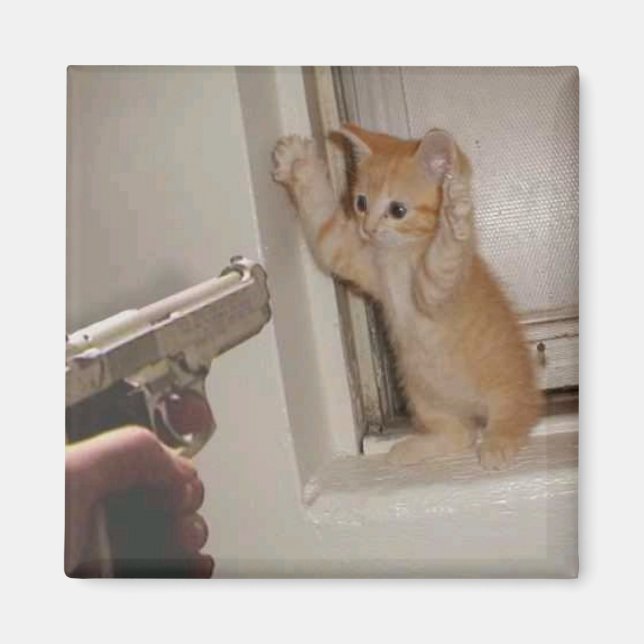 Kitten höll vid skottpunkten! magnet (Framsidan)