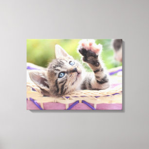 Kitten i A Basket Canvastryck