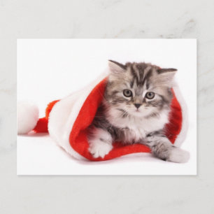 Kitten i A Santa Hat Helg Vykort