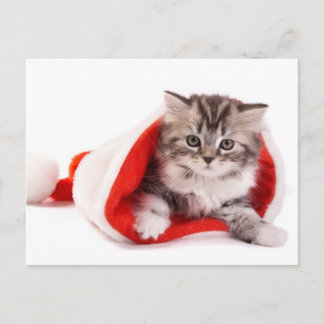 Kitten i A Santa Hat Helg Vykort