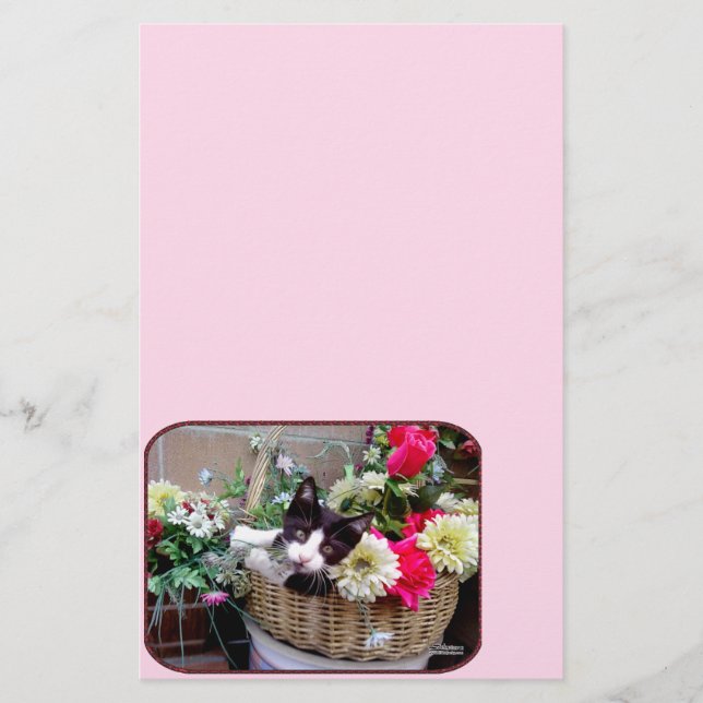 Kitten i Basket (Framsida)