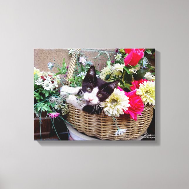 Kitten i Basket Canvastryck (Framsida)