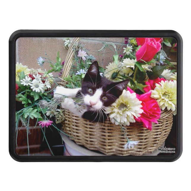 Kitten i Basket Skydd För Dragkrok (Framsidan)