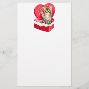 Kitten i Candy Box Brevpapper