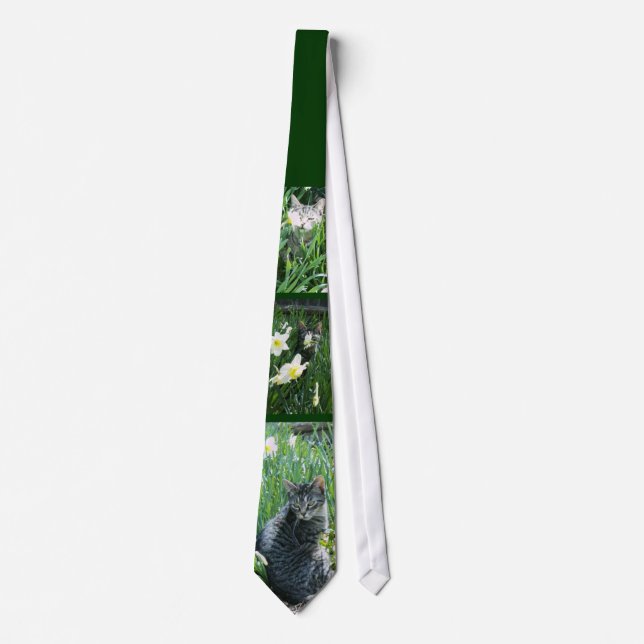 Kitten i Daffodils Tie Slips (Framsida)