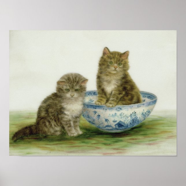 Kitten i en blå China Bowl Poster (Framsidan)