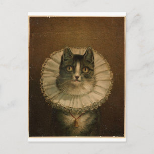 Kitten i en Elizabeth abethan ruff Vykort
