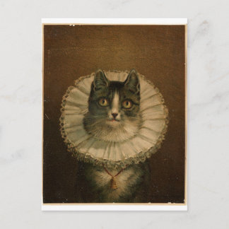Kitten i en Elizabeth abethan ruff Vykort