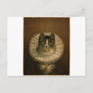 Kitten i en Elizabeth abethan ruff Vykort