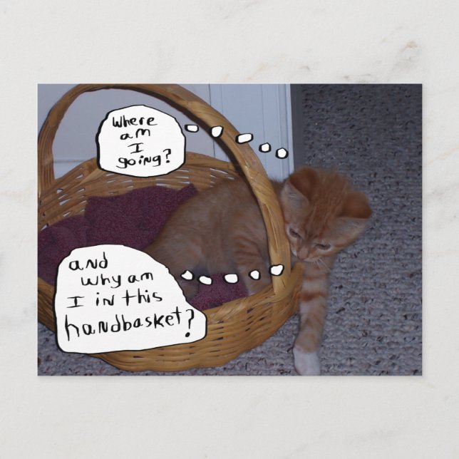 Kitten i en handkorg vykort (Framsida)