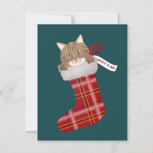 Kitten i en julklapp julkort
