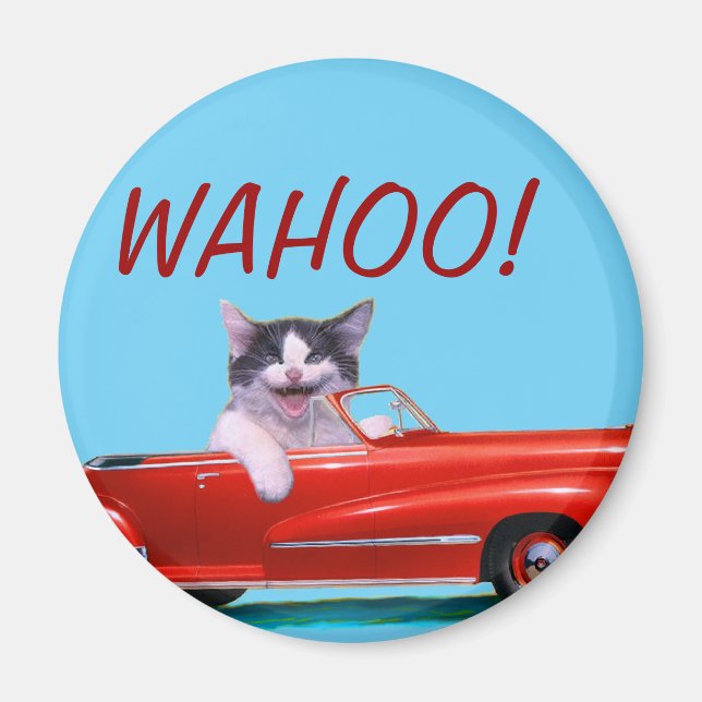 Kitten i en röd konvertibel magnet (Framsidan)