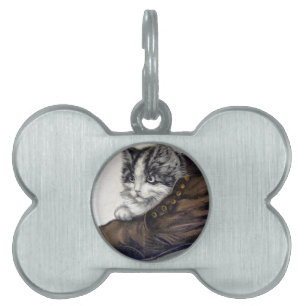 Kitten i en Shoe ID-bricka Husdjur