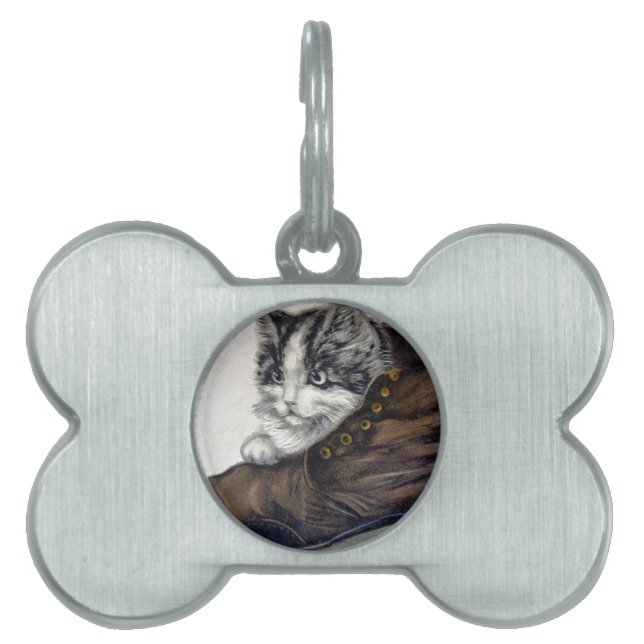 Kitten i en Shoe ID-bricka Husdjur (Framsidan)