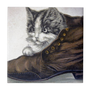 Kitten i en Shoe Kakelplatta