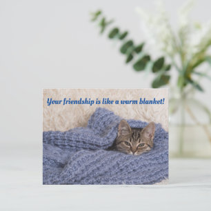 Kitten i ett filtkort vykort