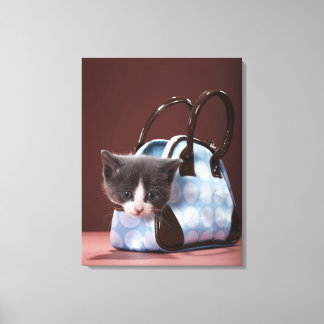 Kitten i handväska canvastryck