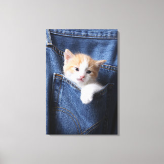 Kitten i jeans-väska canvastryck