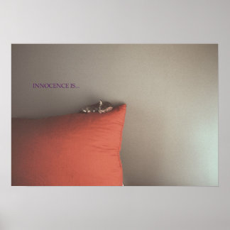 Kitten i Peace Poster