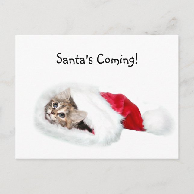 Kitten i Santa Hat Helg Vykort (Framsida)