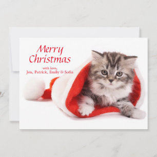 Kitten i Santa Hat Julkort