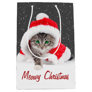 Kitten i Santa Hat och Snöflingor