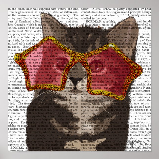 Kitten i Star Sunglasses Poster (Framsidan)