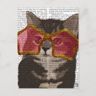 Kitten i Star Sunglasses Vykort