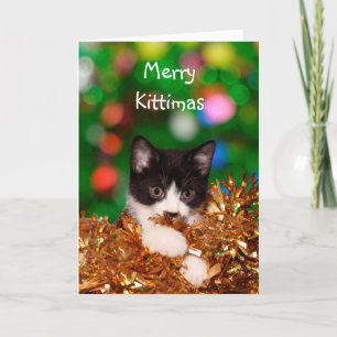 Kitten jul helgkort