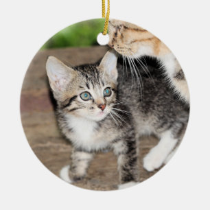 Kitten Julgransprydnad Keramik