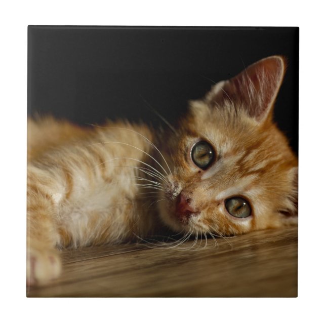 Kitten Kakelplatta (Framsidan)