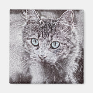 Kitten Kärlek Cute Kattunge med ljusblå Öga Magnet