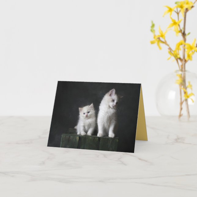 Kitten Kärlek Kort (Gul blomma)