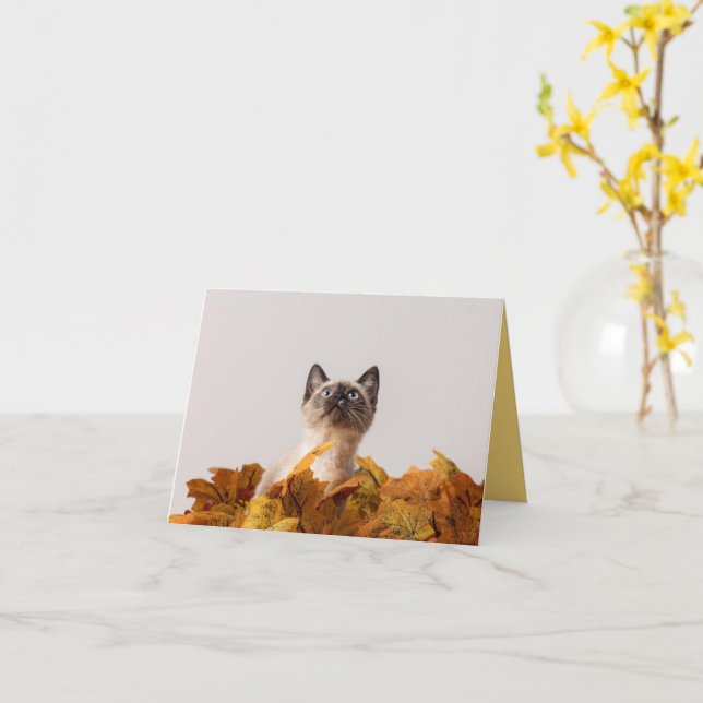 Kitten Kärlek Kort (Gul blomma)