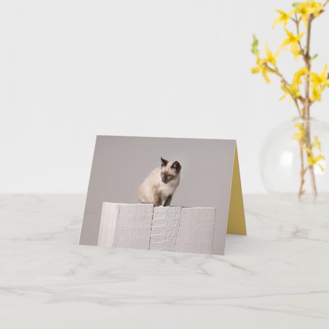 Kitten Kärlek Kort (Gul blomma)