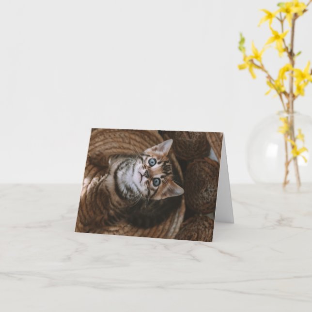 Kitten Kärlek Kort (Gul blomma)